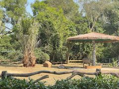-海南热带野生动植物园