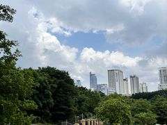 -万达广场(南宁青秀店)