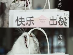 -奈雪的茶(漫广场店)