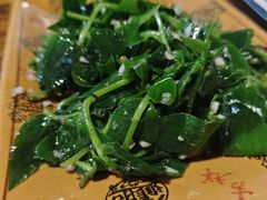 -庭院小酌(瑞莲街店)