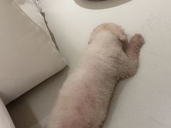 -左右Massage/Spa(长寿路店)