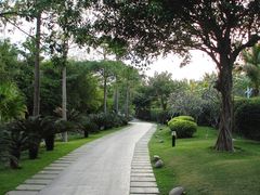 通往大堂的小路-三亚亚龙湾铂尔曼别墅度假酒店