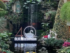 -白天鹅宾馆·流浮阁咖啡厅