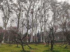 -武汉大学-樱园