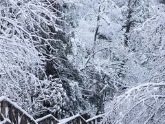 -龙苍沟森林公园