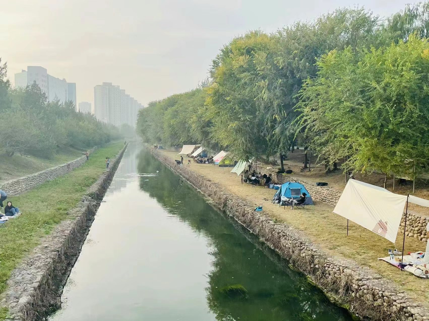 黄草湾郊野公园前身图片