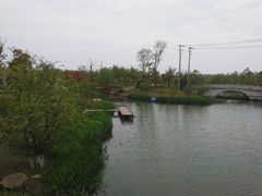 -上海长兴岛郊野公园