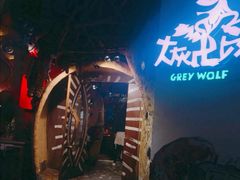 -大灰狼(中心书城店)