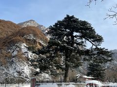 -秦岭终南山世界地质公园翠华山景区