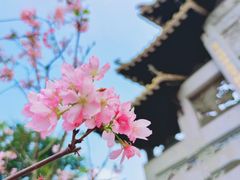 景点-宝墨园景区