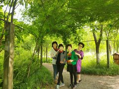 -上海长兴岛郊野公园