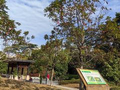 -中山市树木园