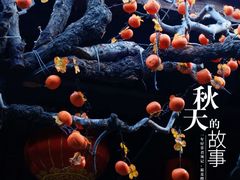 -初溪土楼群