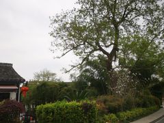 -小河直街历史文化街区