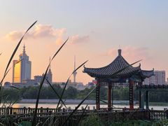 -莲花池公园