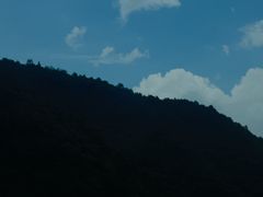 -天目山大树王景区