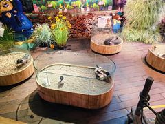 -正佳雨林生态植物园