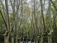 -WeLope紫金山探险公园