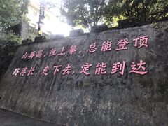 -广州市帽峰山景区