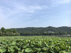 -北山街历史文化街区