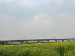-光明小镇欢乐田园
