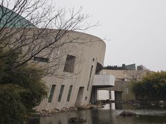 -新江湾城公园