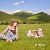 北京周末周边游｜京北第一天路草原攻略