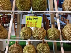 -都念榴莲·城市榴莲