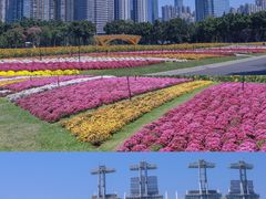 -海心沙亚运公园