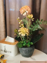 -御品•瑶浴灸疗SPA