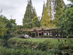 -白马涧龙池景区