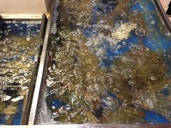 -大东方海鲜酒楼(小武基桥店)