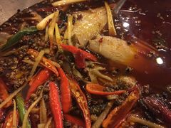 姜汁耗儿鱼-倒拐香耗儿鱼(西体店)