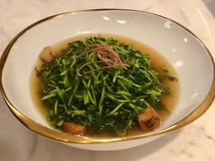 -伯衡55·吉品轩(乌鲁木齐南路店)