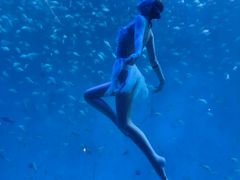 -合肥海洋世界
