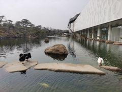 -罗红摄影艺术馆
