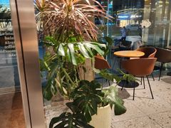 -Wagas沃歌斯(环贸店)