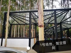 -桉树林A coffee 森林餐厅(三圣乡店)