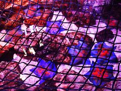 -沈阳海洋探索中心