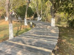 -盘龙城国家考古遗址公园