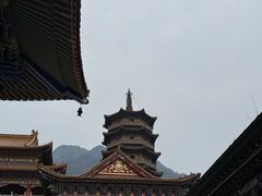 -天目山大树王景区