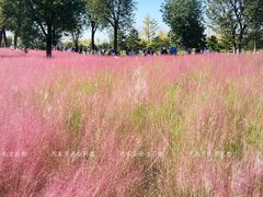 -汉长安城未央宫国家考古遗址公园