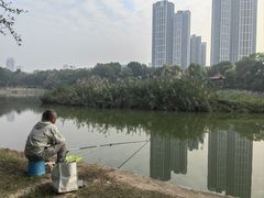 -汉水公园