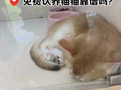 -北京长安天街