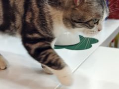 -天虹购物中心(深圳龙华店)