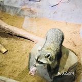 258元两大一小一小时萌宠亲子时光