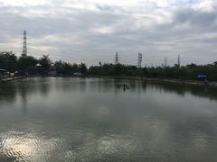 -会江钓鱼钓虾烧烤场