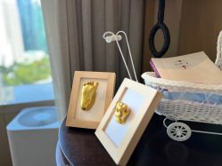 -巍阁高端月子会所