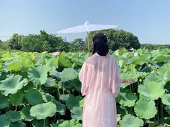 -梁鸿国家湿地公园