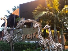 -清迈夜间动物园